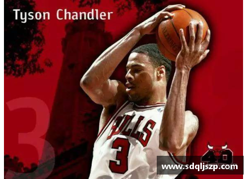 NBA芝加哥公牛主场地板：历史、设计与球迷独特见解
