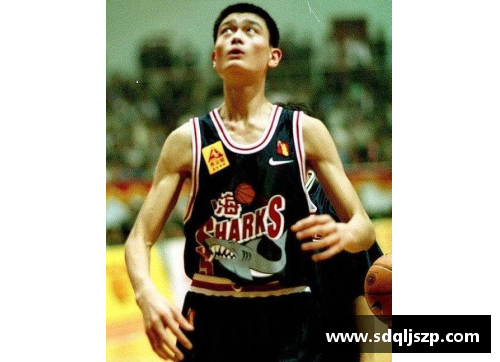 安托万：从欧洲到NBA，探索他的职业篮球之旅