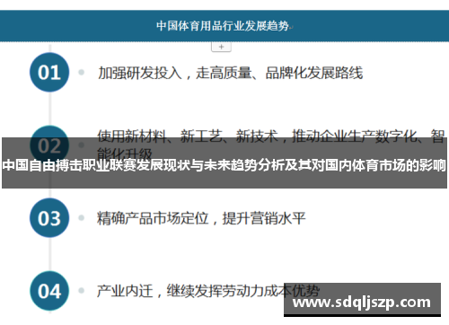 中国自由搏击职业联赛发展现状与未来趋势分析及其对国内体育市场的影响
