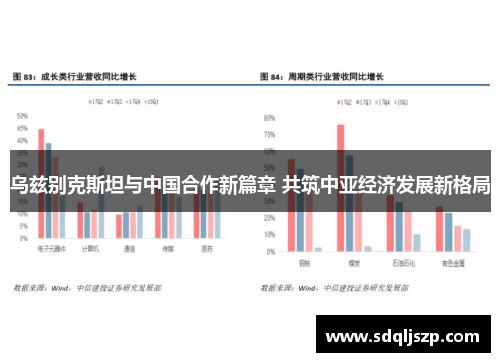 乌兹别克斯坦与中国合作新篇章 共筑中亚经济发展新格局