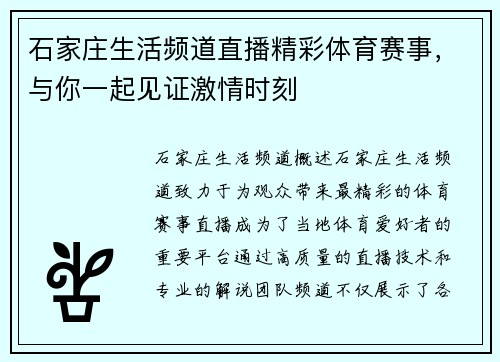 石家庄生活频道直播精彩体育赛事，与你一起见证激情时刻